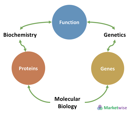 Molecular bio Biochem and Genetics