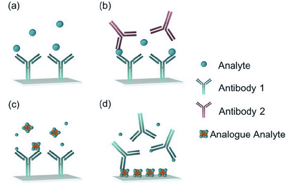 Immunoassay