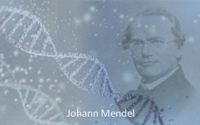 Johann Mendel