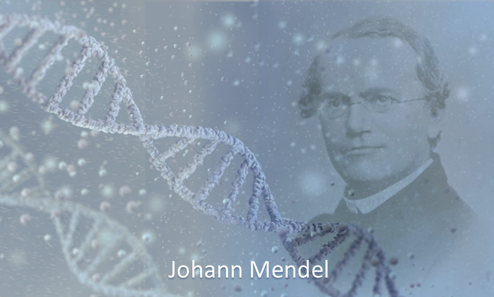 Johann Mendel