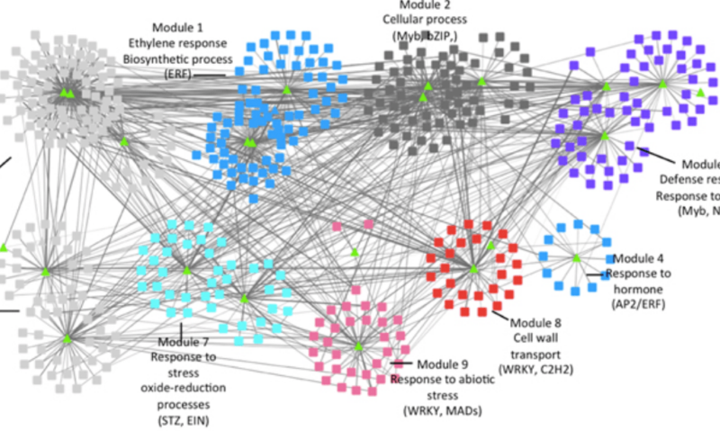 Transcriptomics email list